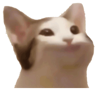Pop-cat 2