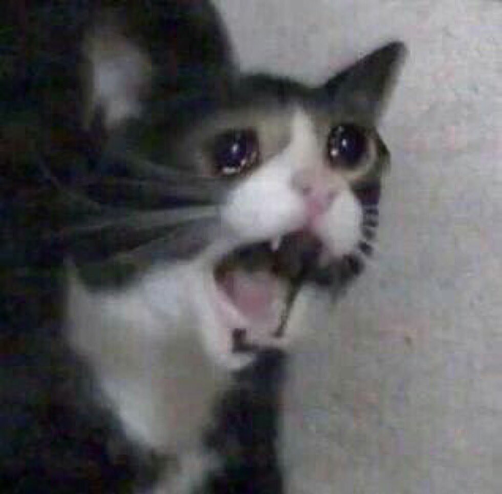 Cry-cat 3