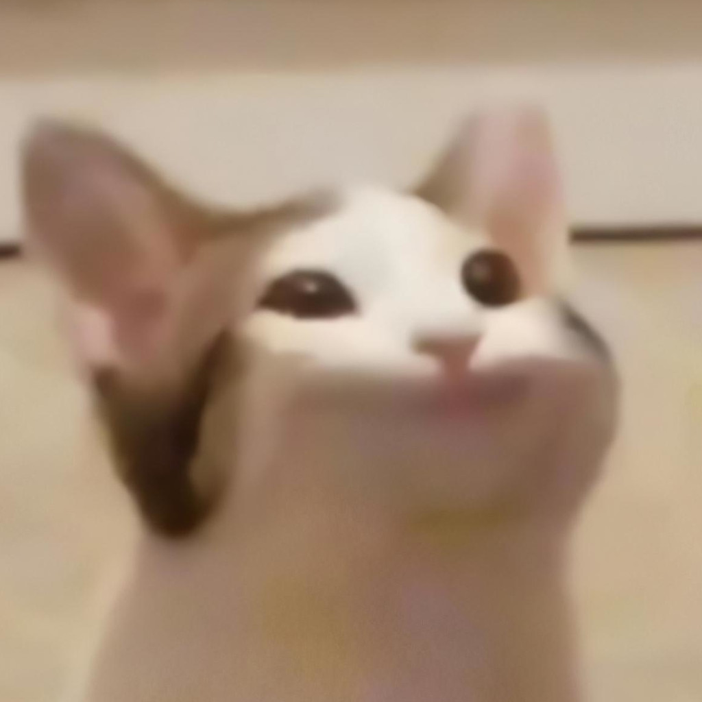 Pop-cat 1